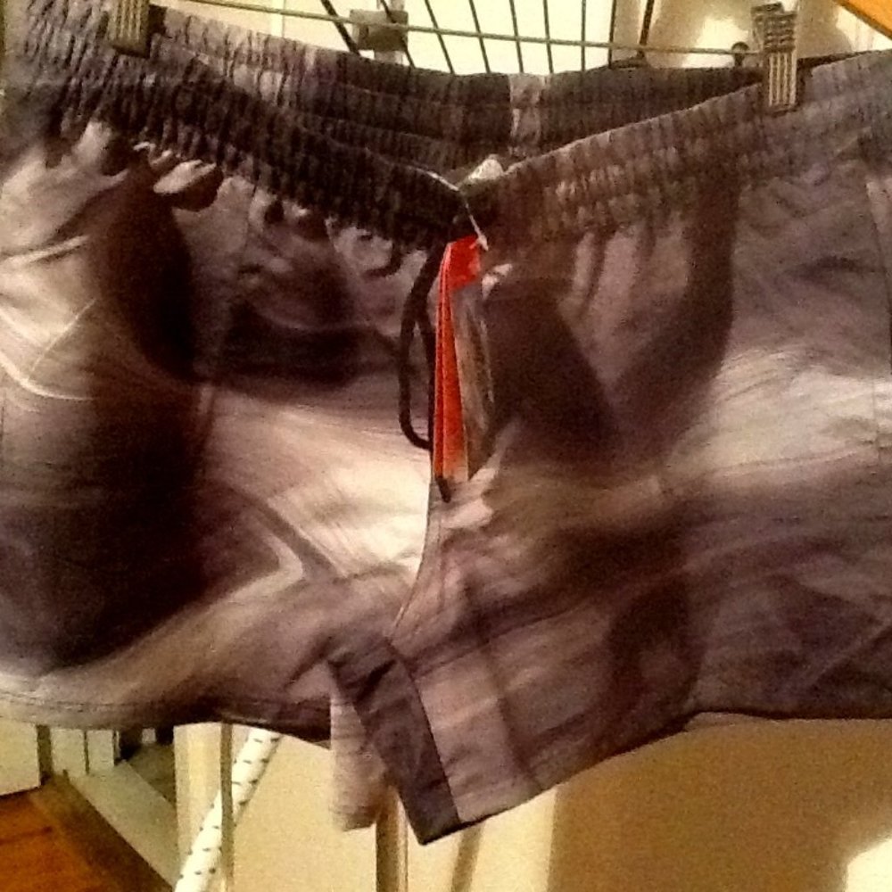 NWT The North Face Class V Shorts - Large Regular